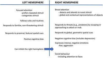 Knowledge of lateralized brain function can contribute to animal welfare